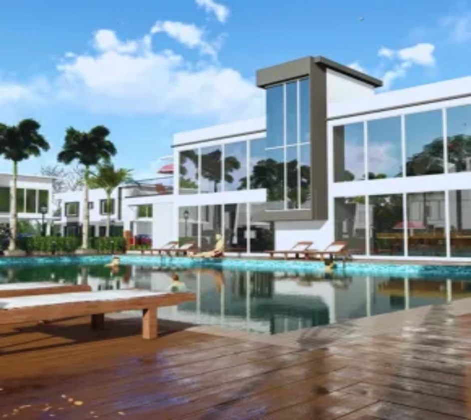 thepalm8520
